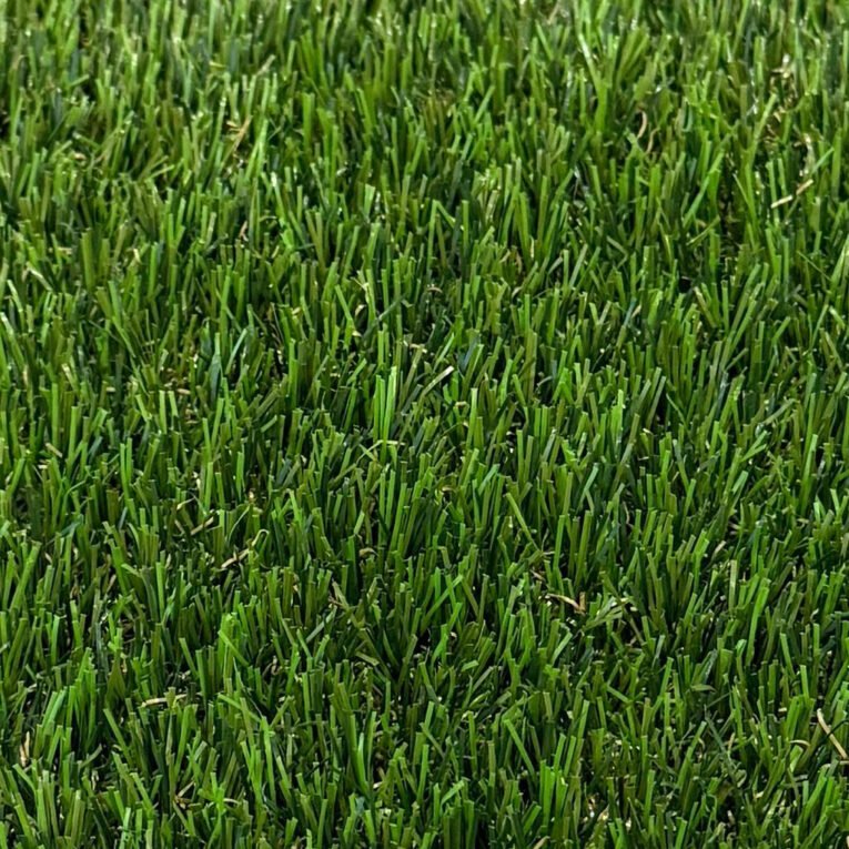 pet_inspired_up_close